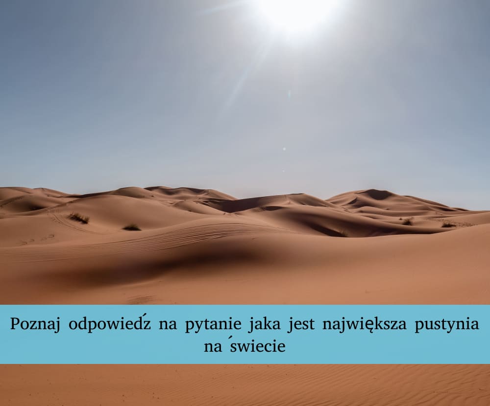 Pogoda pustynia i rozległy piaszczysty krajobraz z wydmami oświetlonymi zachodzącym słońcem